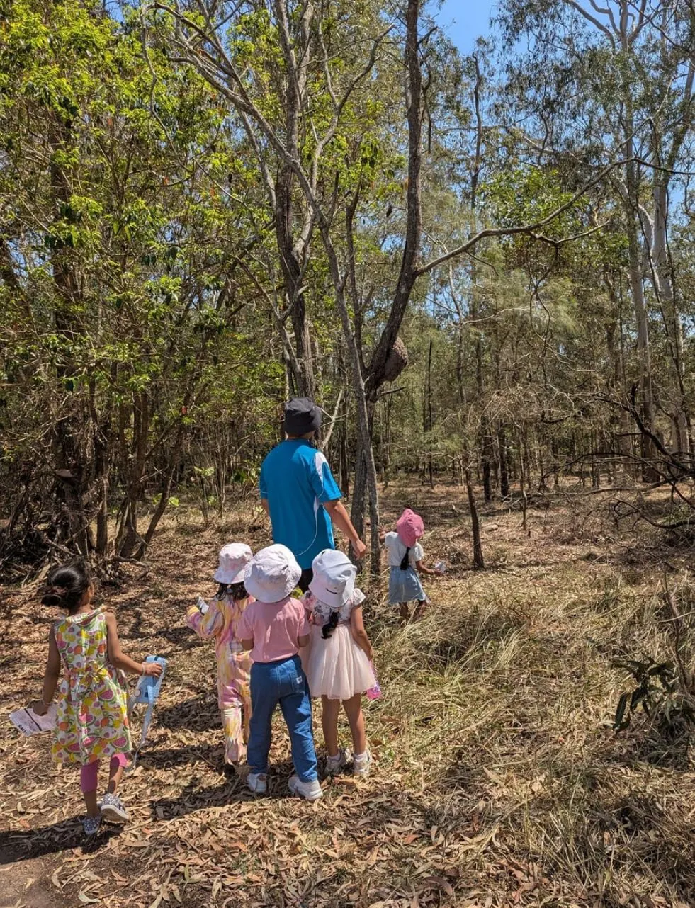 Children and an educator looking up into the trees at Bush Kindy